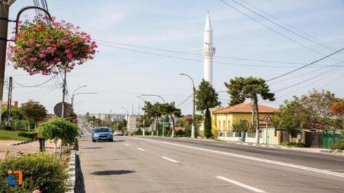 Ovidiu City-page-025