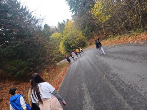 IMG-20240112-WA0336