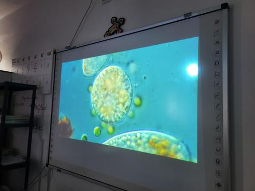 IMG-20240425-WA0030