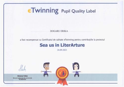 diploma-sea-us-9